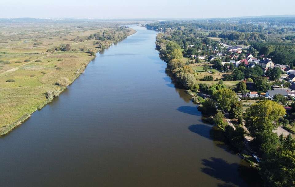 Rzeka Odra w Żabnicy / autor: PAP/Marcin Bielecki