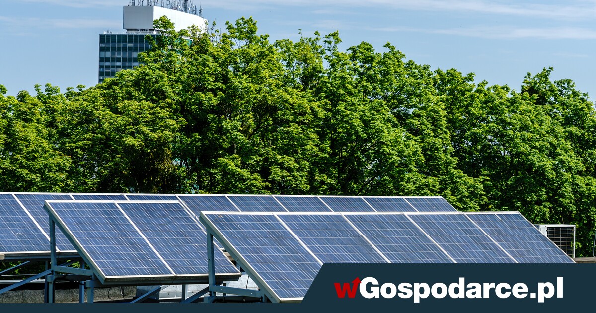 Trzy firmy oferujące OZE przyłapane na nieuczciwości