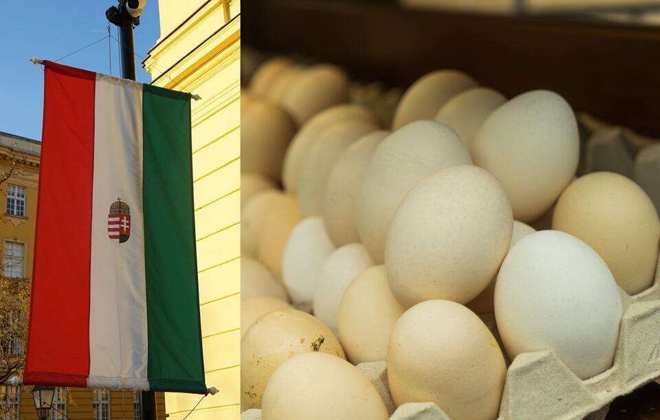 Problemy węgierskich producentów jaj. W tle limity cen