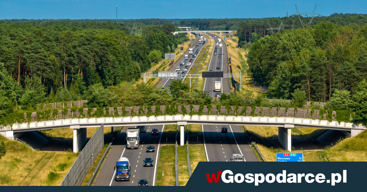 Drogowcy dbają o zwierzęta. choćby o nietoperze