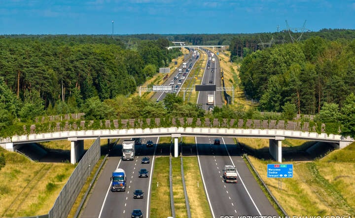 A2 Łowicz - granica woj., przejście dla zwierząt w Puszczy Bolimowskiej w pobliżu węzła Skierniewice / autor: materiały prasowe GDDKiA / fot. Krzysztof Nalewajko