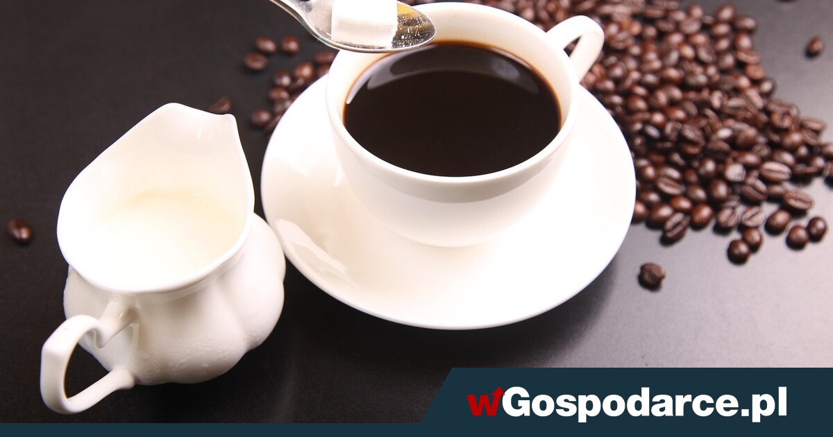 Szkodliwość kawy to mit