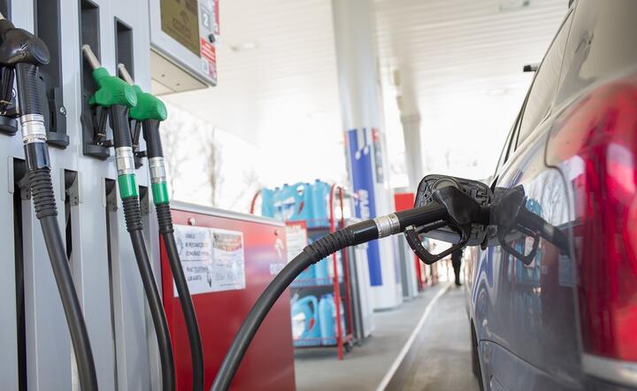 Rozpoczął się trend podwyżek cen paliw na stacjach benzynowych / autor: Fratria / Andrzej Wiktor