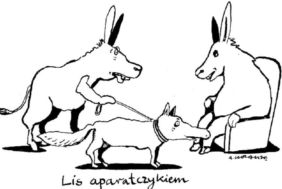 wPolityce.pl