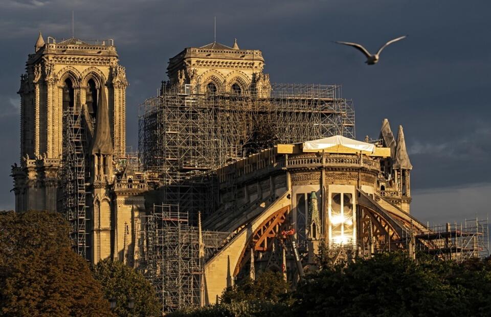 Katedra Notre Dame / autor: PAP/EPA