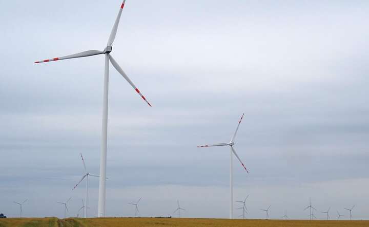 Polska według danych WindEurope zainstalowała w zeszłym roku 800 MW i obecnie  mają one łączną moc 11,2 GW / autor: Fratria / AS