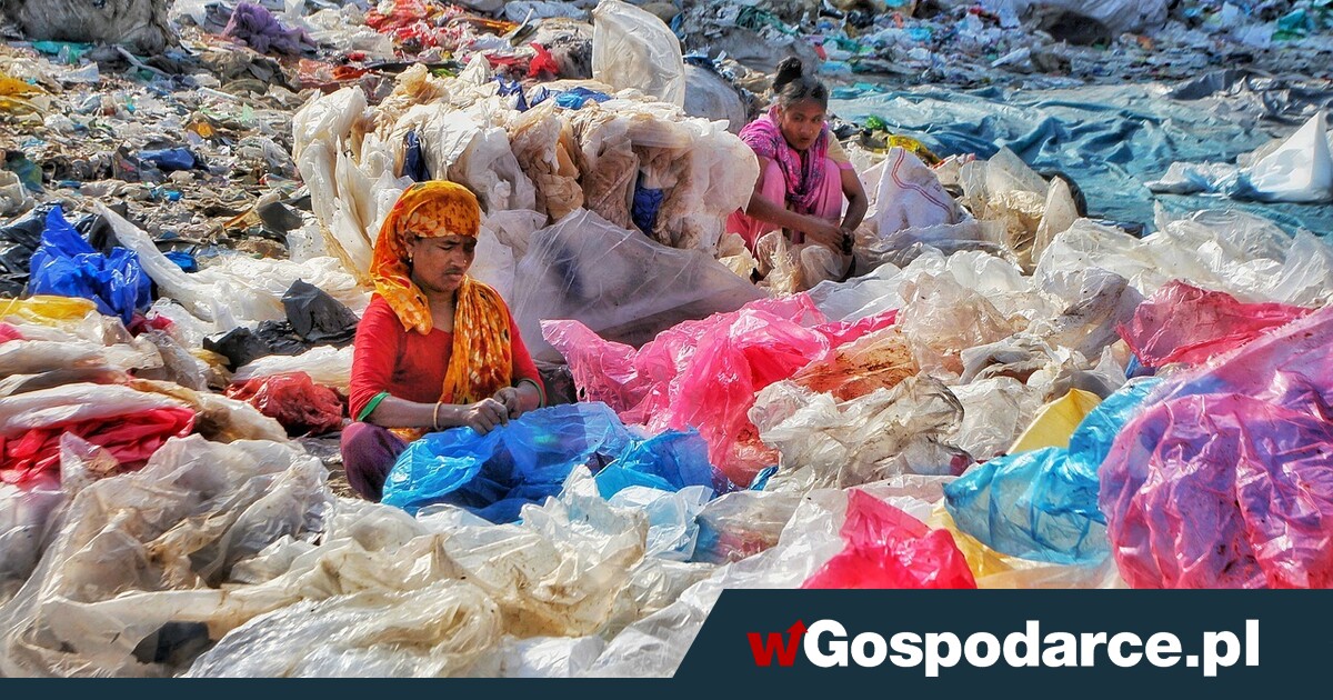 Nanoapokalipsa. Idzie "coś", co zaorze świat, jaki znamy