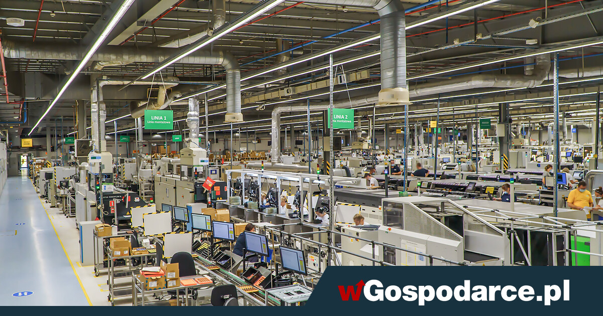 Gigant z Piły opiłowuje załogę. Prawie 300 osób na bruk