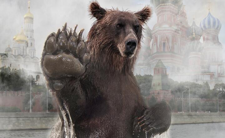 Czy moskiewski niedźwiedź ruszy na łów po świecie? / autor: Pixabay