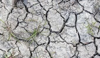 Włochy: Dramatyczna susza! Miliardy strat w rolnictwie