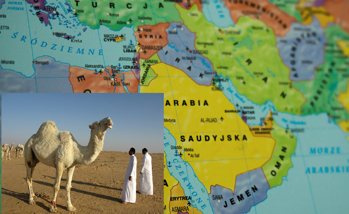 Arabia Saudyjska / autor: Fratria/Pixabay