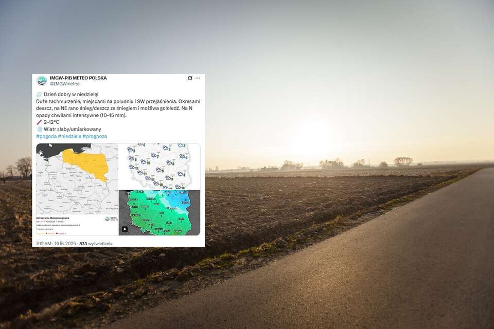 Prognozowane są słabe opady deszczu ze śniegiem i deszczu, przejściowo marznącego, które będą powodowały gołoledź. / autor: Fratria, X/IMGW-PIB METEO POLSKA