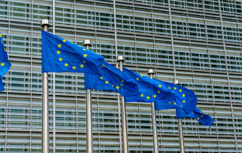 Flagi Unii Europejskiej / autor: Fratria