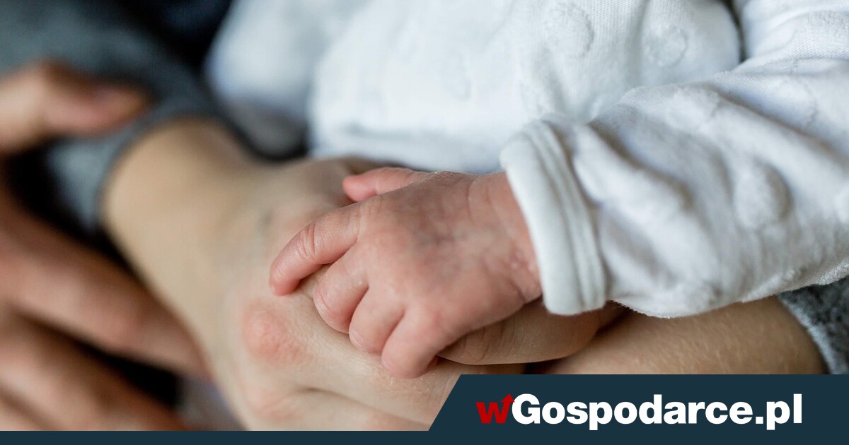 1900 zł miesięcznie dla rodziców. Pieniądze "za darmo"