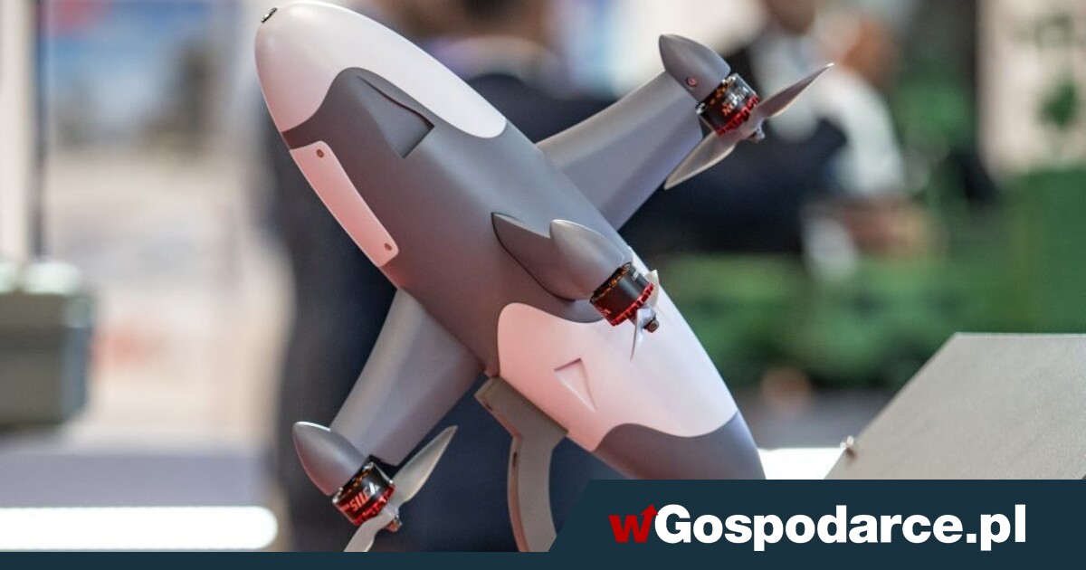 Polski terminator. Będzie likwidował wrogie drony