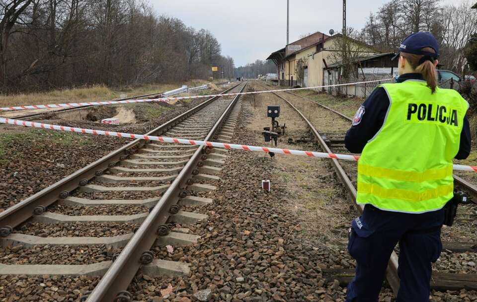 autor: PAP/Tomasz Wojtasik