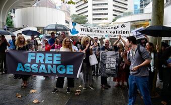 ONZ: Wyrok więzienia dla Assange'a zbyt surowy