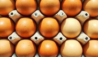 Uwaga - GIS wycofuje te jaja ze sprzedaży. Zobacz czy posiadasz groźne dla zdrowia partie