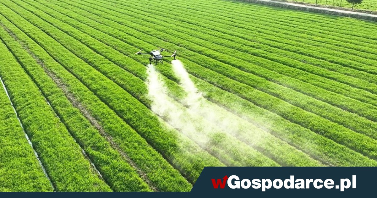 Polskie „nie” dla pestycydów z Mercosur