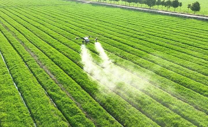 Rolników najbardziej boli zgoda na sprzedaż żywności z zawartością zakazanych pestycydów, / autor: Pixabay