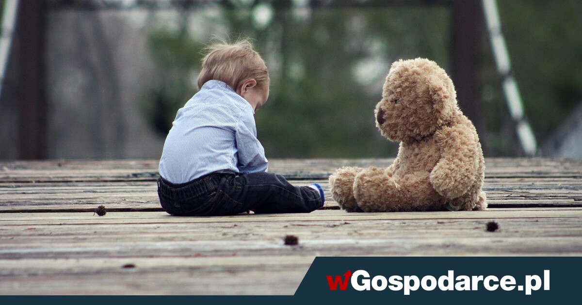 Miś AI (nie) dla wszystkich