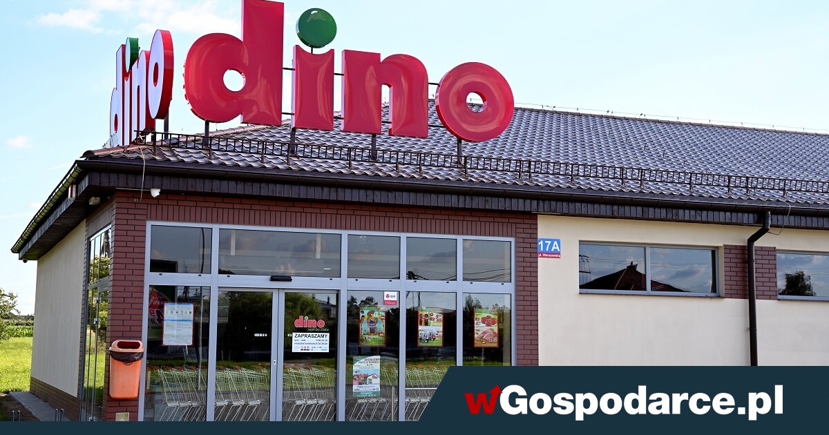 Polska sieć Dino rośnie jak na drożdżach. 1,1 mln mkw!