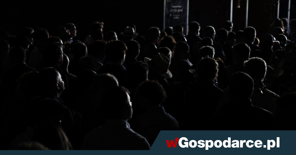 Co spowodowało blackout? Jest odpowiedź