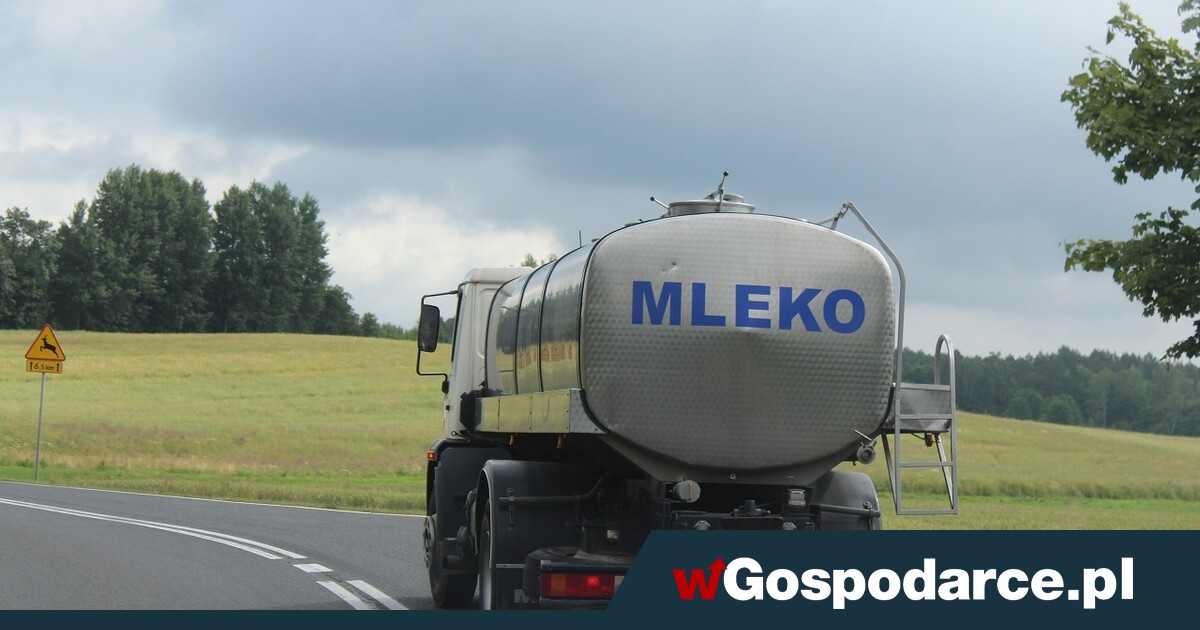 Niemcy kupują na potęgę polskie sery i twarogi