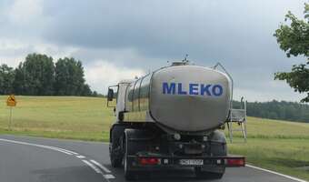 Niemcy kupują na potęgę polskie sery i twarogi