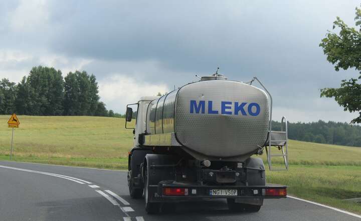 Niemcy kupują na potęgę polskie sery i twarogi