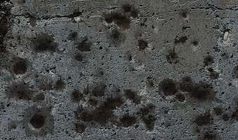 Syryjski dobry interes - polskie firmy handlują z Syrią. Artykuły które tam eksportują ukazują cały dramat konfliktu