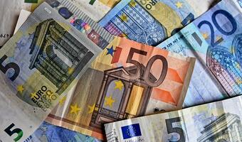 Rośnie liczba rozliczeń w euro