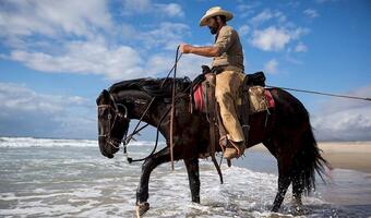 Amerykanie wracają do gry