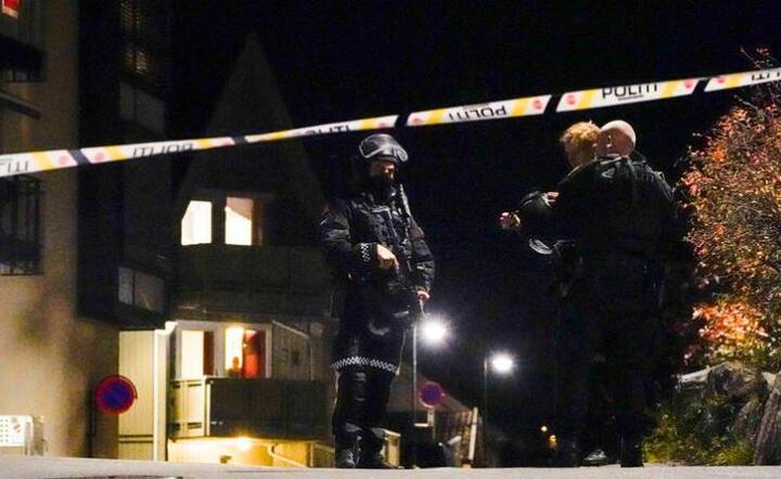 Norwegia: Zabił z łuku 5 osób, miał problemy psychiczne