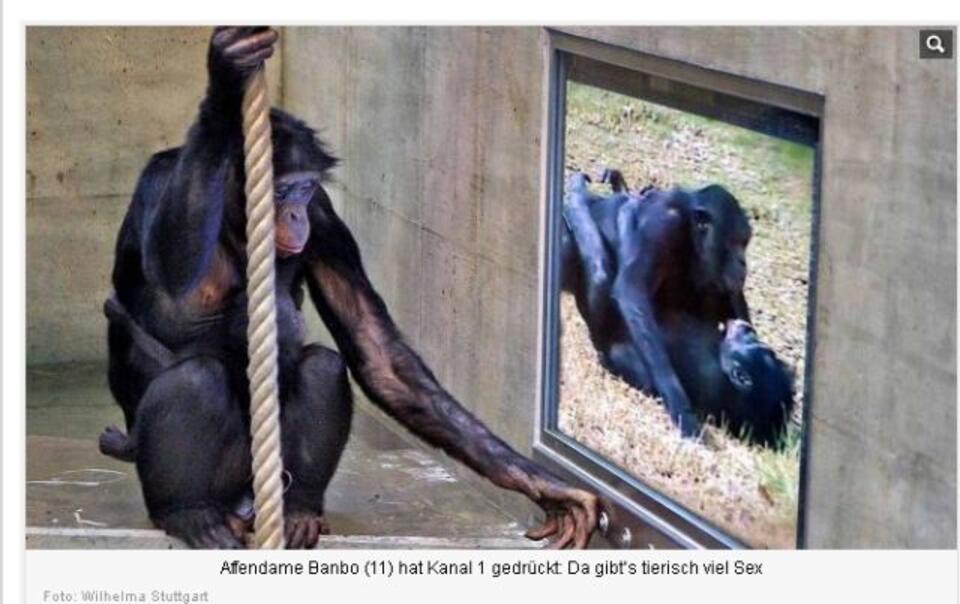 screenshot/bild.de