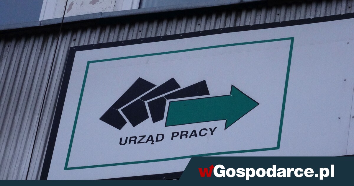 Bezrobocie w Polsce. "Coraz więcej osób traci pracę"