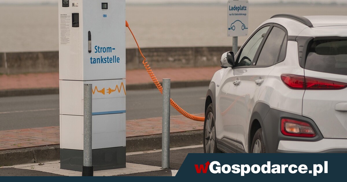 Niemcy postawili na elektryki, a reszta ma się dostosować