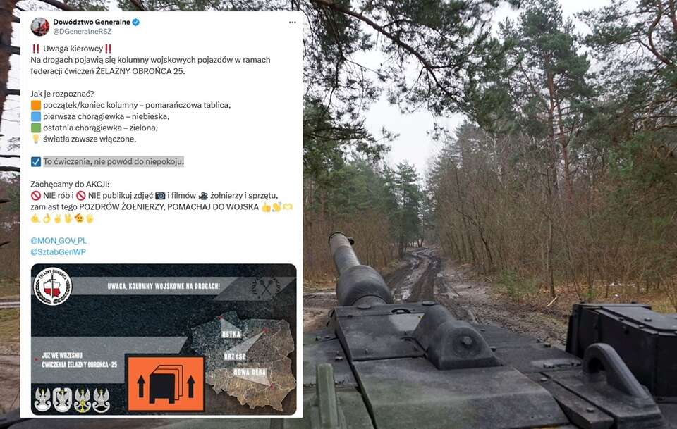 Wojsko Polskie / autor: Fratria