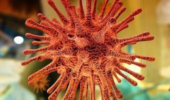 Następne pandemie mogą być gorsze niż koronawirus