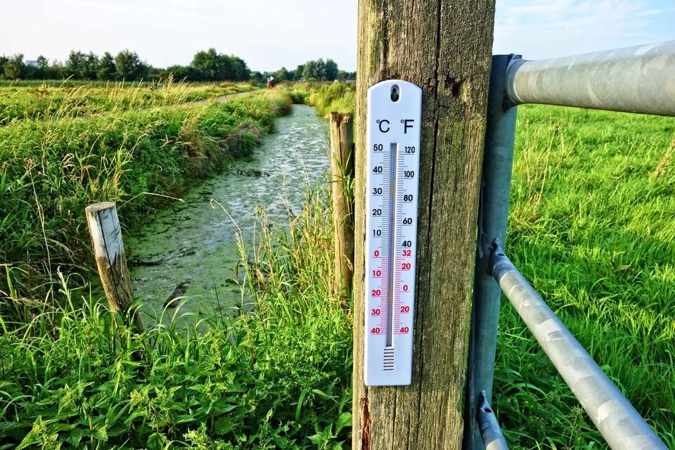Termometr na płocie / autor: pixabay.com