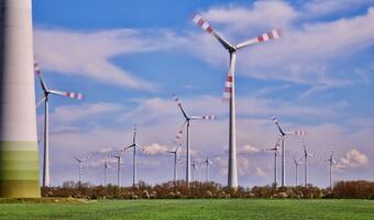 Tauron chce kupić farmy wiatrowe o mocy 200 MW