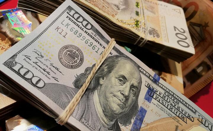 Osłabienie amerykańskiego dolara zwiększyło zainteresowanie walutami rynków wschodzących / autor: Pixabay