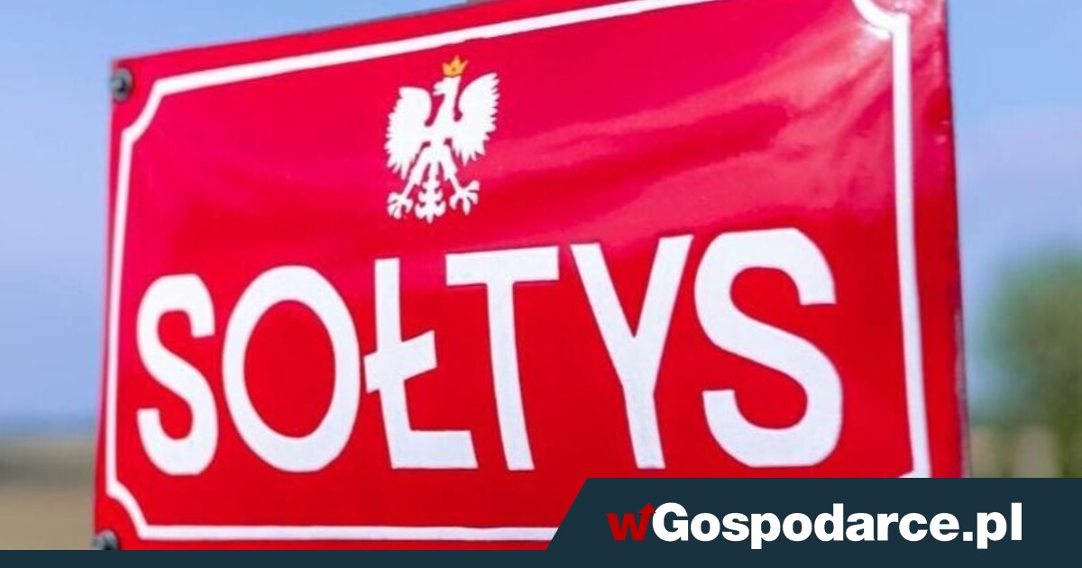 Sołtys na zagrodzie równy wojewodzie?