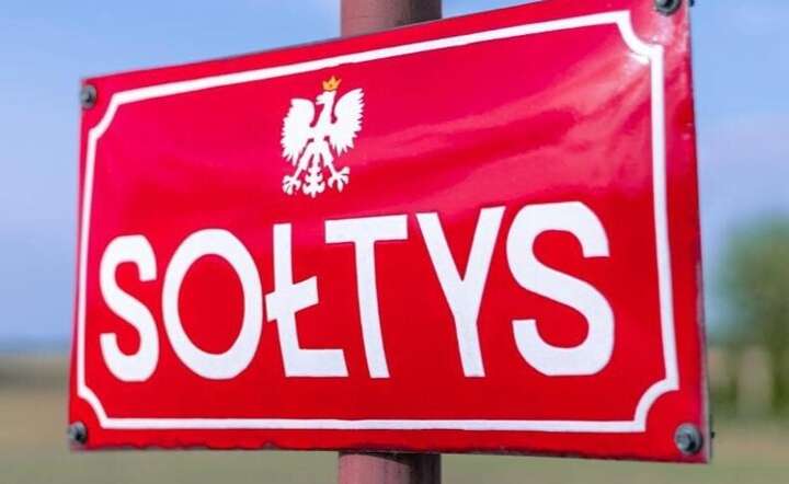 Sołtys na zagrodzie równy wojewodzie?