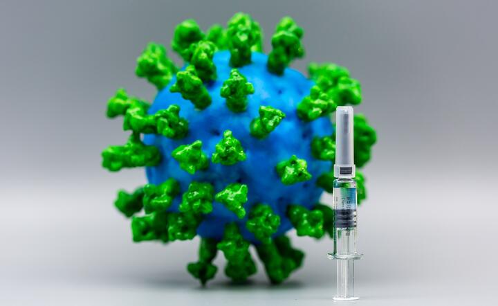 Wielka Brytania nie przystąpi do unijnego programu wspólnych zakupów szczepionki przeciwko koronawirusowi / autor: Pixabay