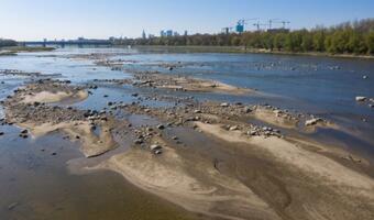 Susza w Polsce: Alarmująco niski stan rzek