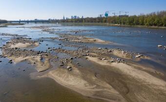 Susza w Polsce: Alarmująco niski stan rzek
