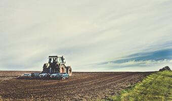 1 września ruszy Krajowy Ośrodek Wsparcia Rolnictwa
