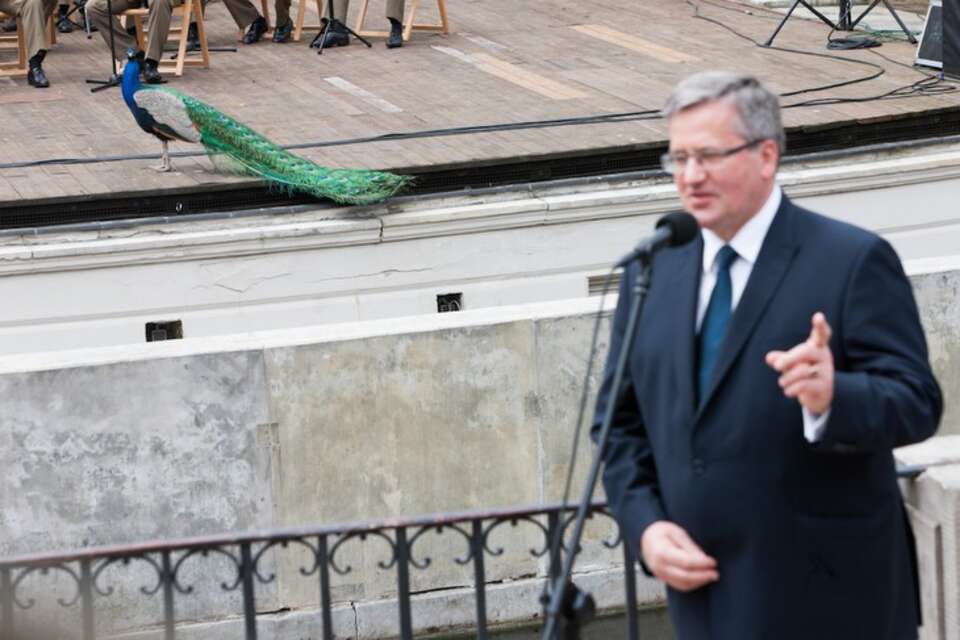 Fot. Wojciech Grzedziński / prezydent.pl