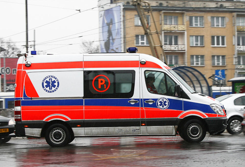 fot. Wikipedia.pl